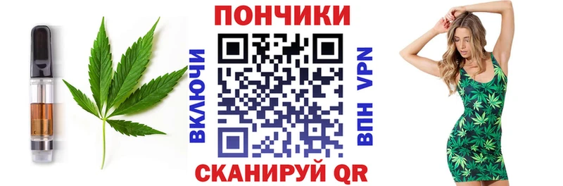 сколько стоит  Суджа  Печенье с ТГК марихуана 