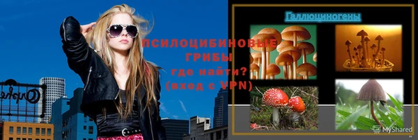 ГАЛЛЮЦИНОГЕННЫЕ ГРИБЫ Баксан