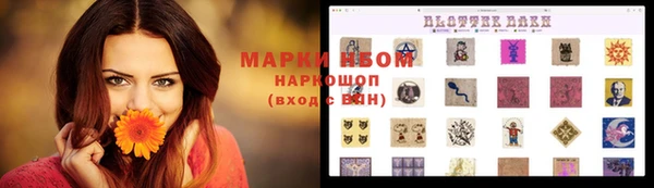 ГАЛЛЮЦИНОГЕННЫЕ ГРИБЫ Баксан