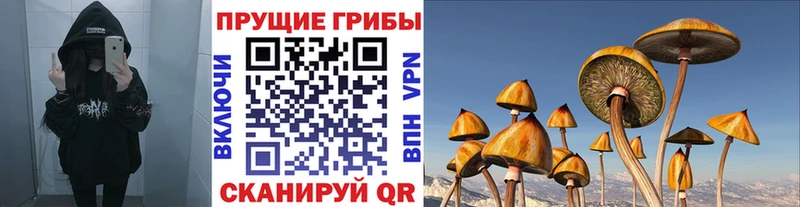 Псилоцибиновые грибы MAGIC MUSHROOMS  купить наркотик  Суджа 